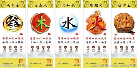 屬馬五行顏色|生肖馬怎樣為自己招來好運